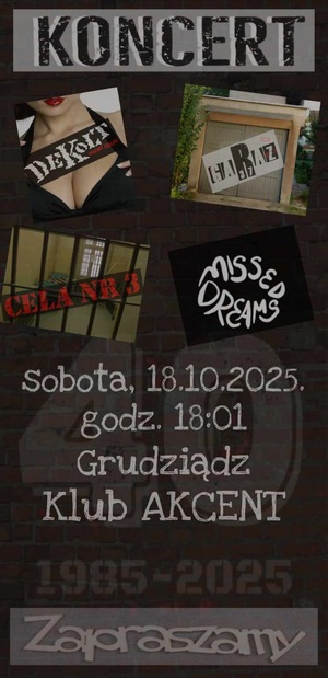 Cela nr 3 i goście – koncert punkrockowy
