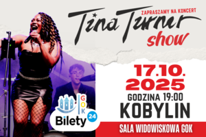 TINA TURNER SHOW