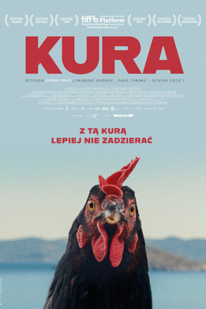 Grafika reklamowa