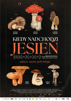 DKF- Kiedy nadchodzi jesień