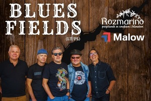 BLUES FIELDS