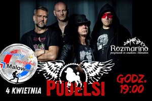 PÜDELSI