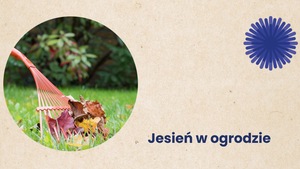 Jesień w OPE