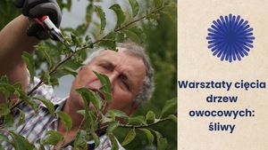 Grafika reklamowa
