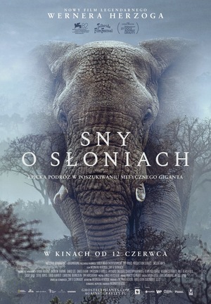 Grafika reklamowa