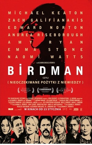 Birdman - DKF