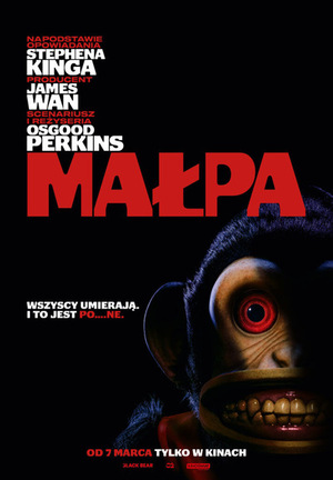Małpa – DKF