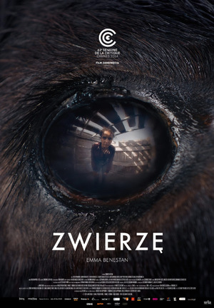 Zwierzę