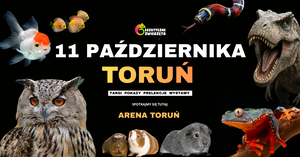 Grafika reklamowa
