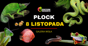 Grafika reklamowa