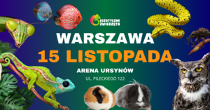 Grafika reklamowa