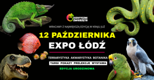 ŁÓDŹ 12 PAŹDZIERNIKA - Egzotyczne Zwierzęta - TERRARYSTYKA AKWARYSTYKA BOTANIKA i wiele więcej
