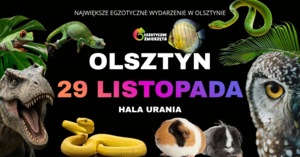 Grafika reklamowa