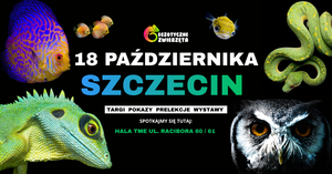 Grafika reklamowa