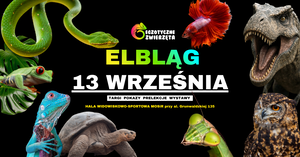 Grafika reklamowa