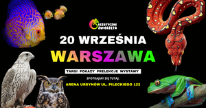 Grafika reklamowa