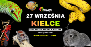 Grafika reklamowa