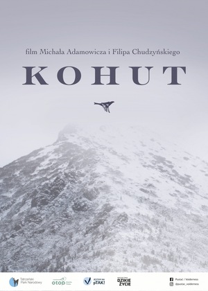 KOHUT