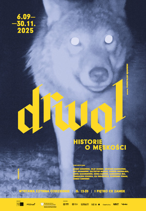 Drwal. HISTORIE O MĘSKOŚCI - Oprowadzanie kuratorskie