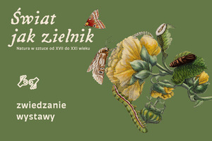 Oliwkowe tło z ilustracją nawiązującą do dawnych rycin przyrodniczych. Na niej żółty kwiat, liście, gąsienice i motyle. U góry tytuł Świat jak zielnik. Natura w sztuce od XVII do XXI wieku. U dołu napis zwiedzanie wystawy i znak tłumaczenia PJM