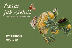 Oliwkowe tło z ilustracją nawiązującą do dawnych atlasów przyrodniczych. Na niej żółte kwiaty, liście, gąsienice, oraz motyle. U góry tytuł Świat jak zielnik. Natura w sztuce od XVII do XXI wieku. U dołu napis zwiedzanie wystawy.