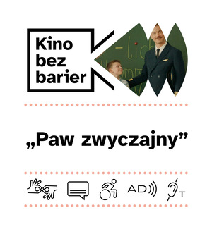 Kino bez barier: Paw zwyczajny