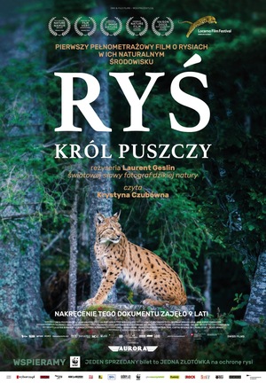 Ryś. Król puszczy