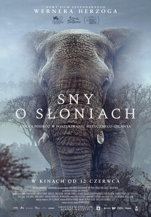 Kolorowy plakat. W centrum monumentalny słoń we mgle.
