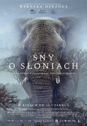 Grafika reklamowa
