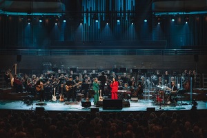 Mikromusic z Górnej Półki
