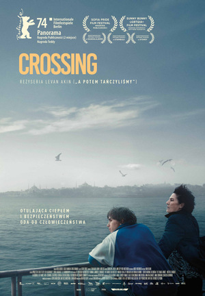 Crossing