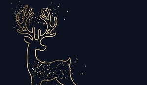 Feliz Navidad!