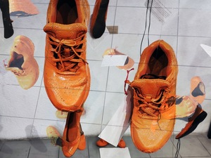 TRY WALKING IN MY SHOES / KOLEKTYW ANALOG