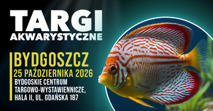 Grafika reklamowa