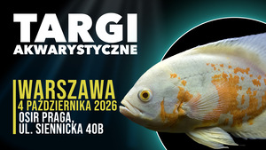 Grafika reklamowa