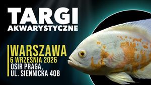 Grafika reklamowa