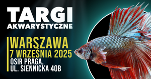 Targi Akwarystyczne Warszawa
