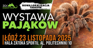 WYSTAWA PAJĄKÓW Łódź