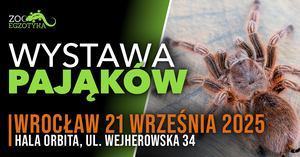 WYSTAWA PAJĄKÓW Wrocław