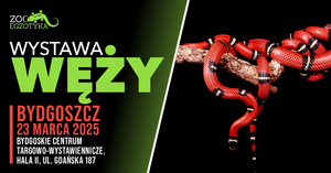 WYSTAWA WĘŻY Bydgoszcz
