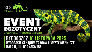 ZooEgzotyka Bydgoszcz