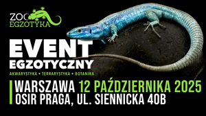 ZooEgzotyka Warszawa