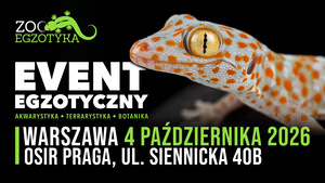 Grafika reklamowa