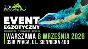 Grafika reklamowa