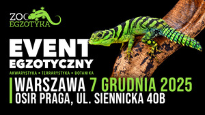 ZooEgzotyka Warszawa