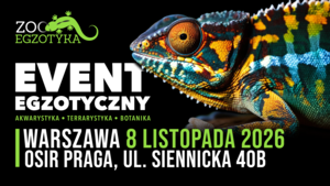 Grafika reklamowa