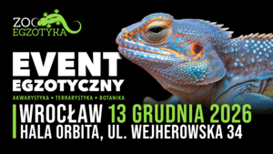 Grafika reklamowa