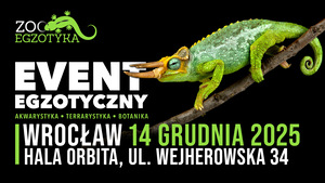 ZooEgzotyka Wrocław