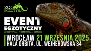 ZooEgzotyka Wrocław
