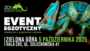 ZooEgzotyka Zielona Góra